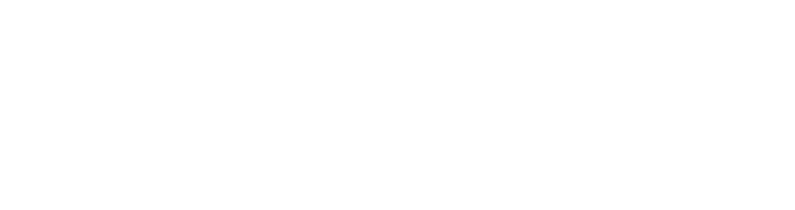 Fáctica
